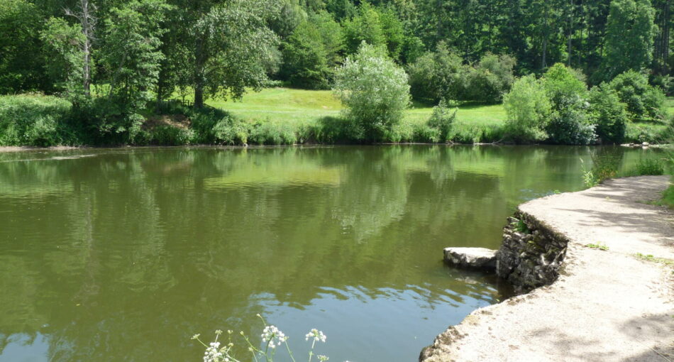 The Fish House Wall at Ingestone Fishery at Foy in Herefordshire