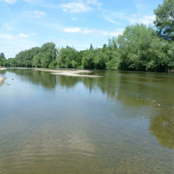 Gilberts swim at Ingestone Fishery at Foy in Herefordshire