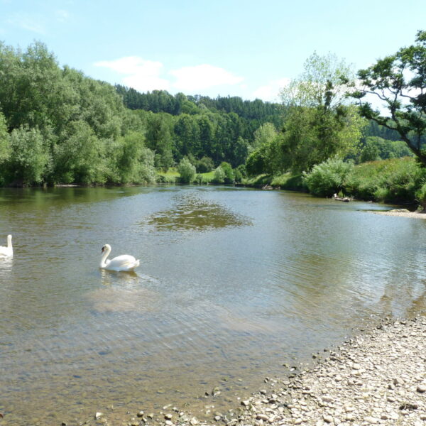 Gilberts swim at Ingestone Fishery at Foy in Herefordshire