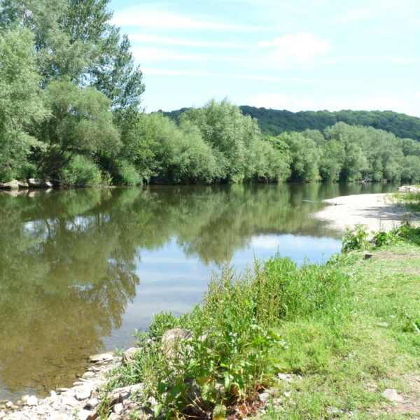 Gilberts swim at Ingestone Fishery at Foy in Herefordshire