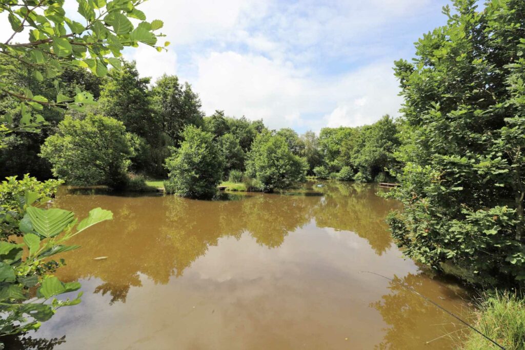 Nine Oaks Fishery