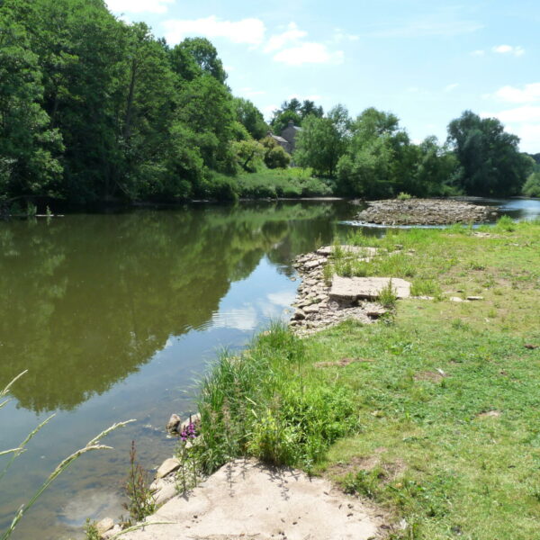 Paddy's Point swim at Ingestone Fishery at Foy in Herefordshire