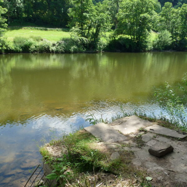 The Tank swim at Ingestone Fishery at Foy in Herefordshire