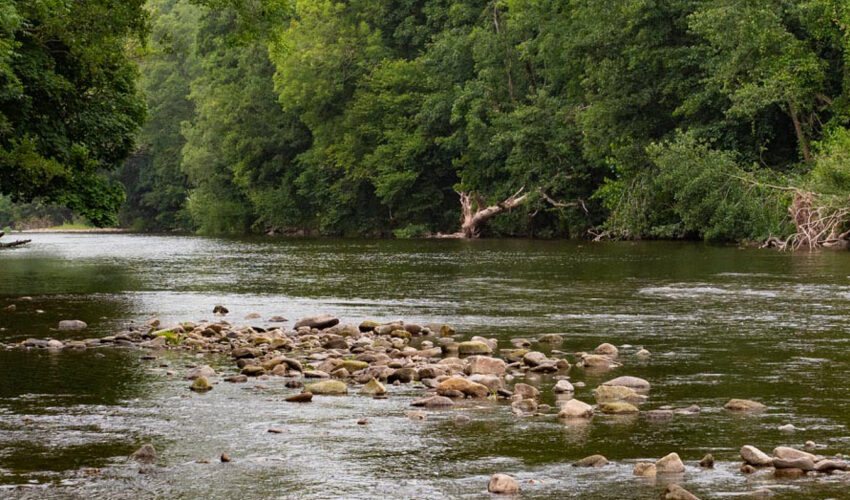 Anglers warned of dangers of fishing in hot weather