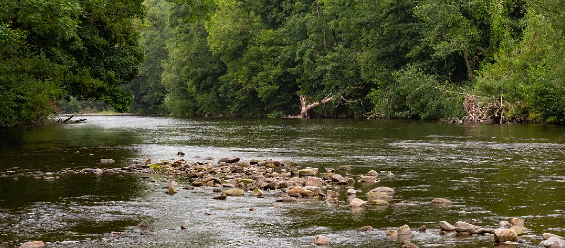 Hot weather leads to fishery closures