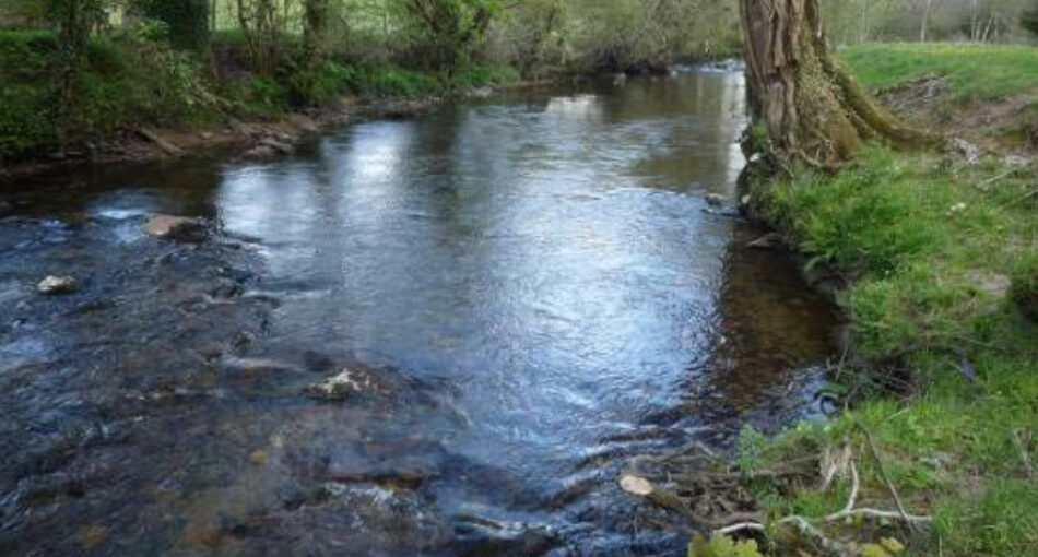 Fishing holidays on the River Avon at Yeo Farm, Loddiswell