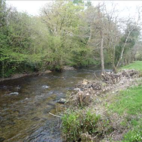 Fishing holidays on the River Avon at Yeo Farm, Loddiswell