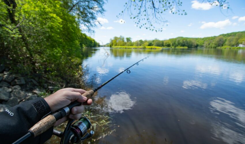 A guide to fishing licences in the UK