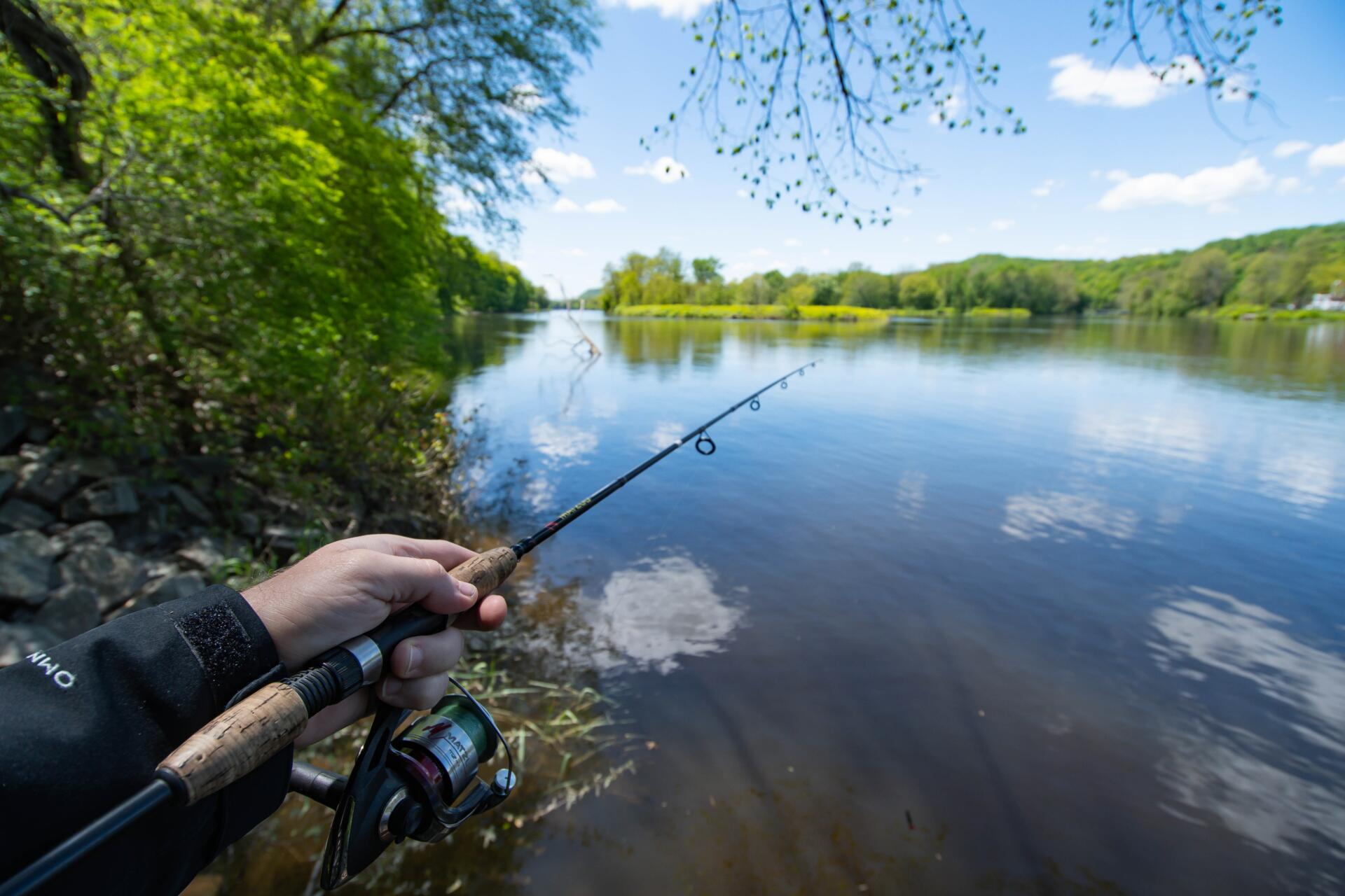 A guide to fishing licences in 2023