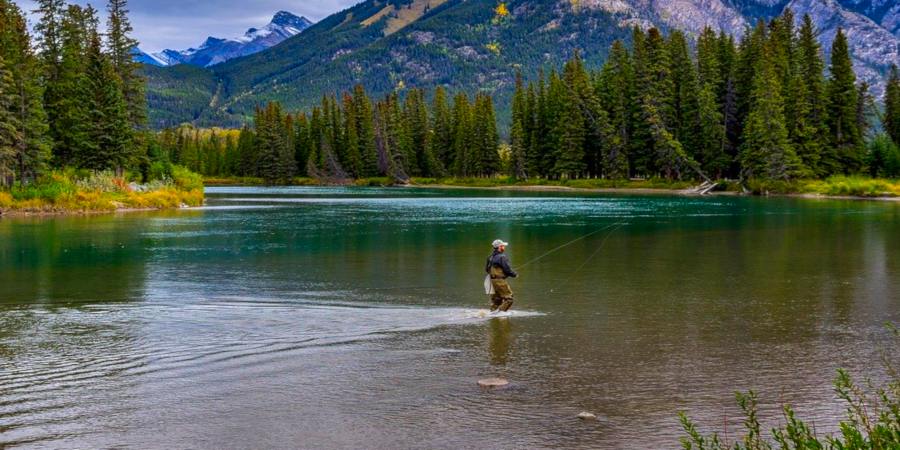 Go 'wild' in Canada - angling holidays with a difference