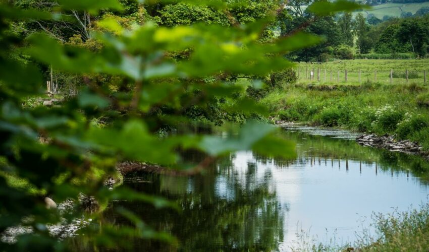 Fishing on UK rivers
