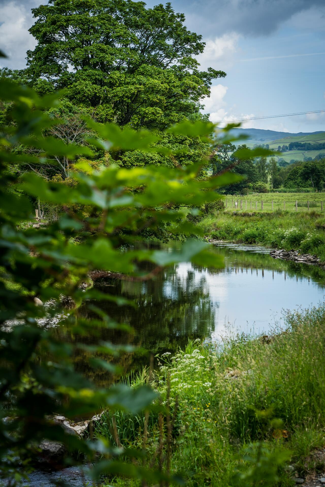 Make the most of the 2023 river season with this in-depth guide to fishing rivers