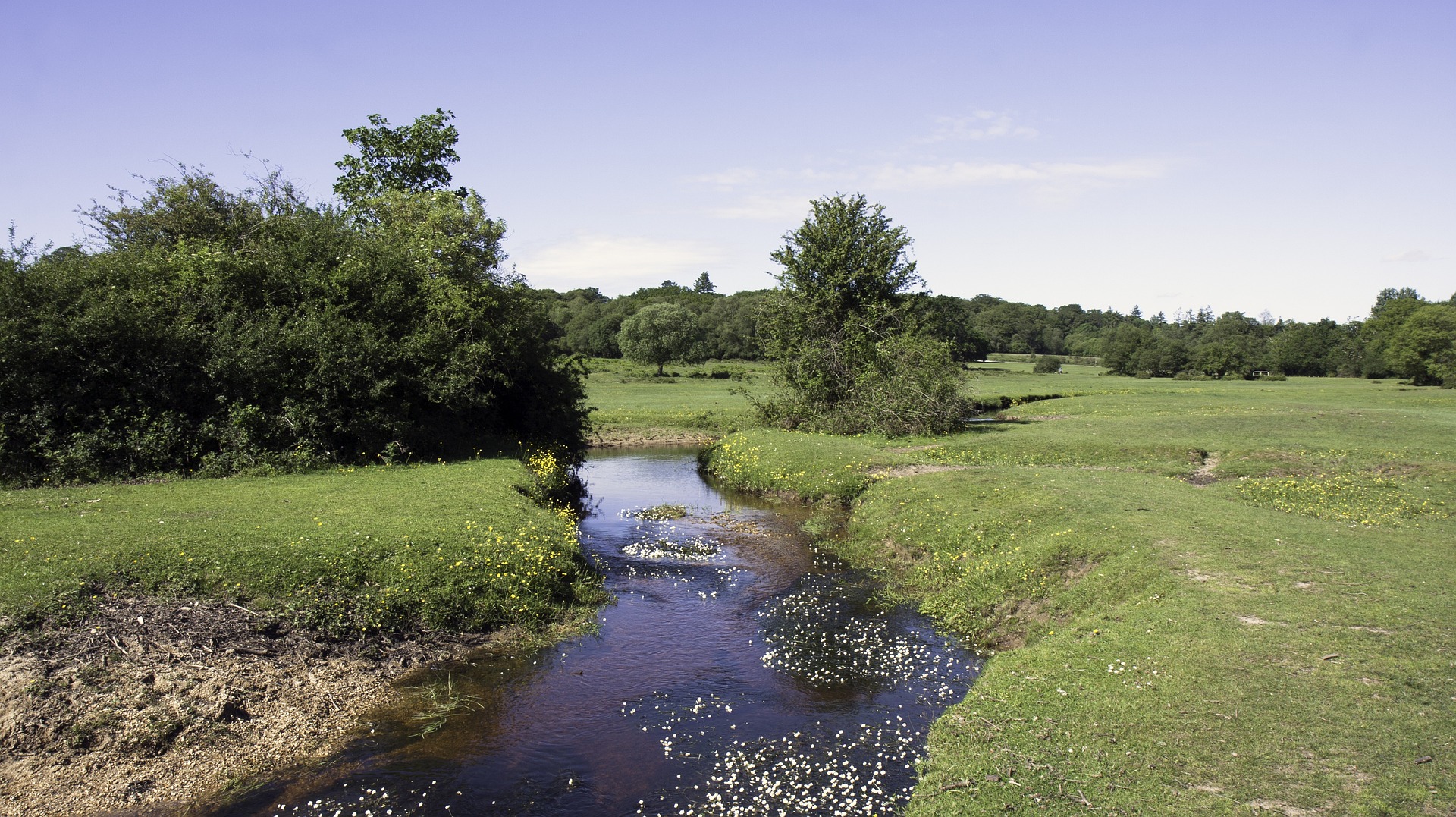 Coarse fishing reels explained 