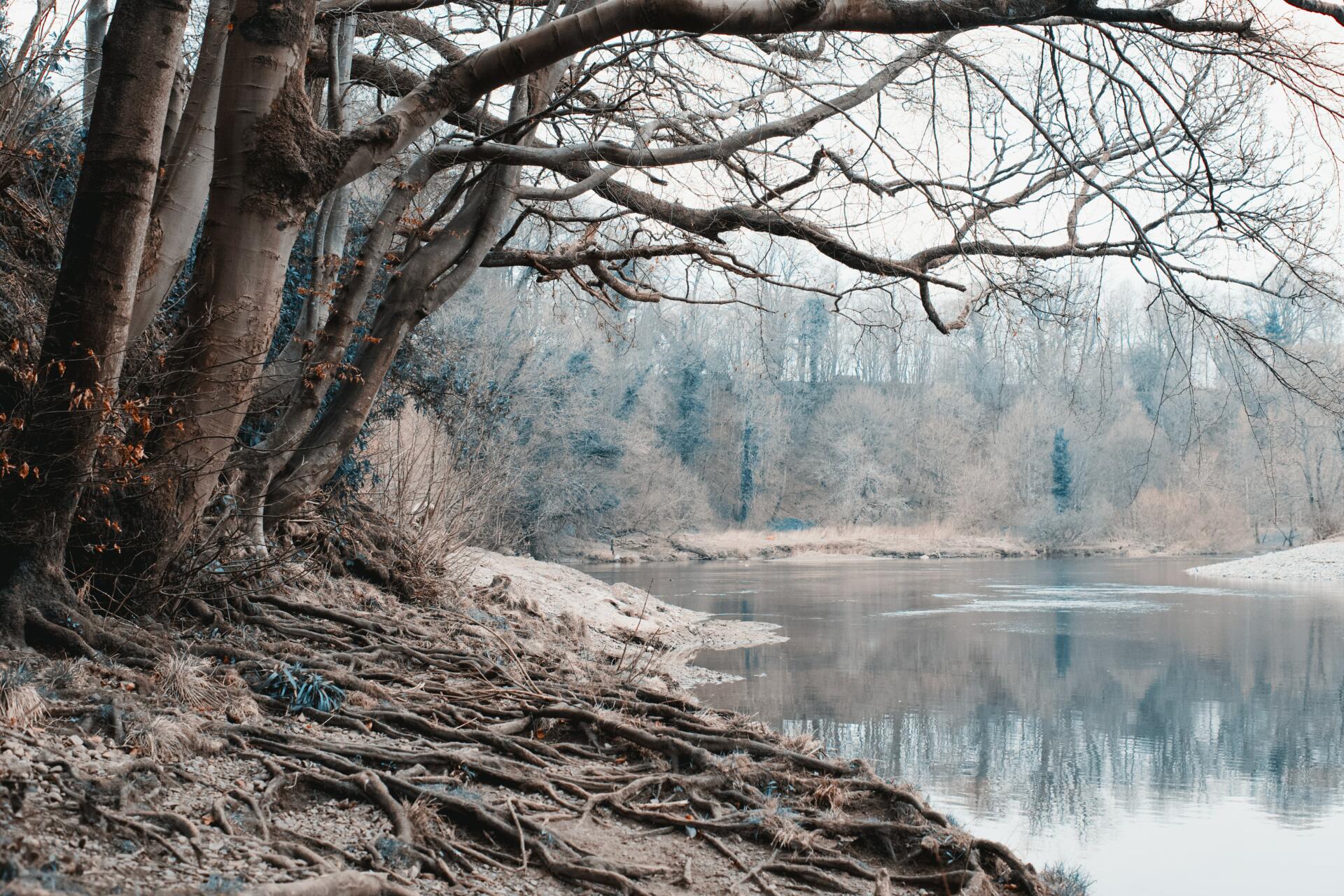 How to prepare your fishery for winter