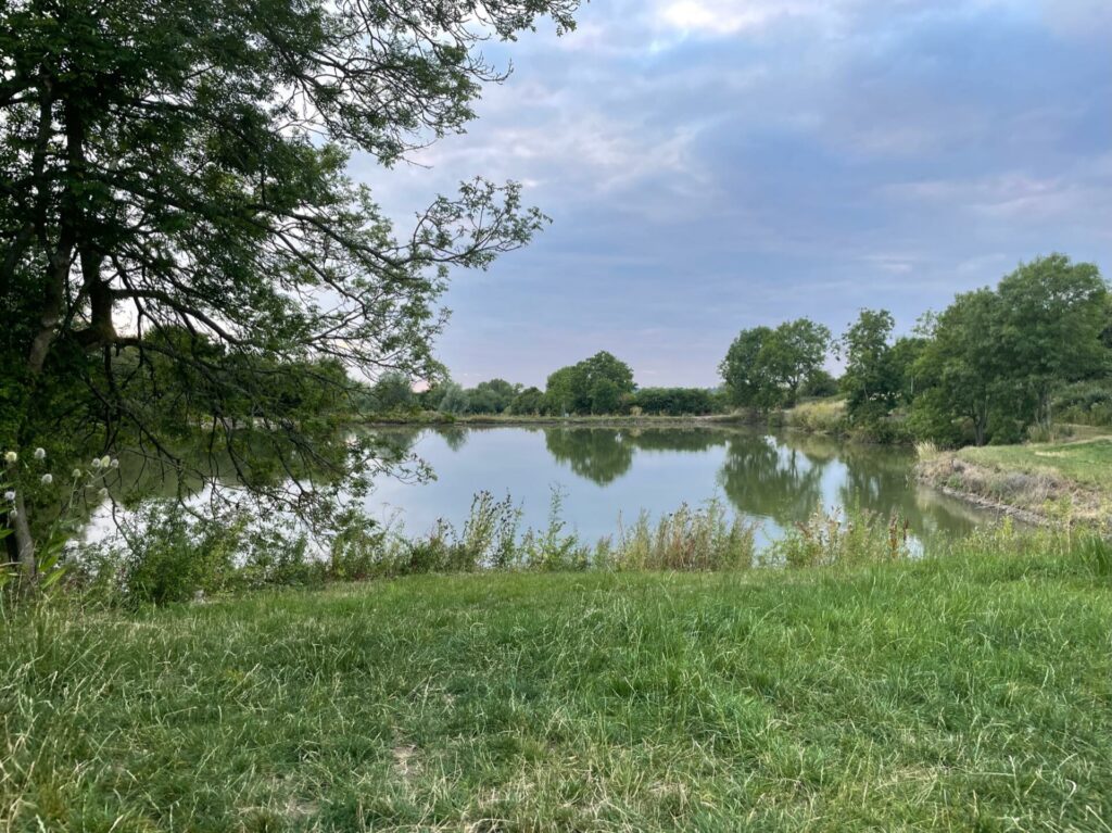 Fosseway Fishery - Top view of lake 2