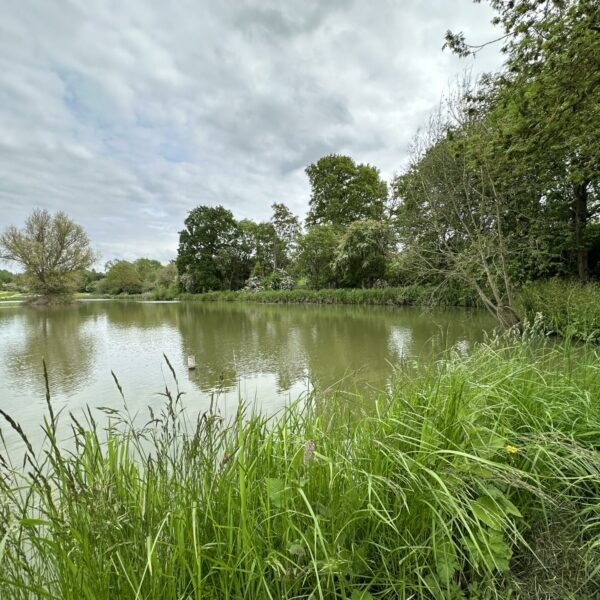 View of Lake 1 at Fosseway Fishery