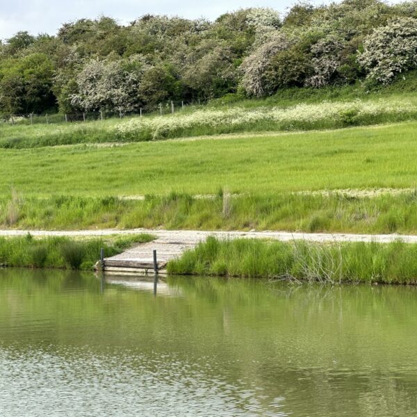 One of the well constructed pegs on Lake 1 at Fosseway Fishery