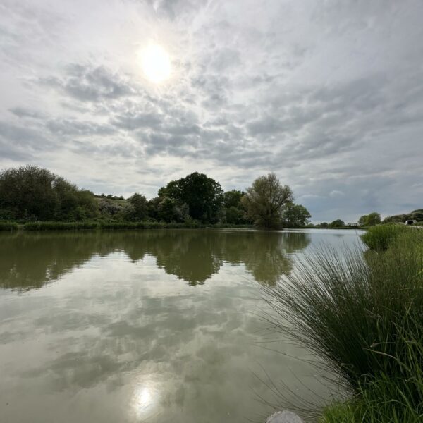 Lake 1 at Fosseway Fishery - holding carp to at least 25lb