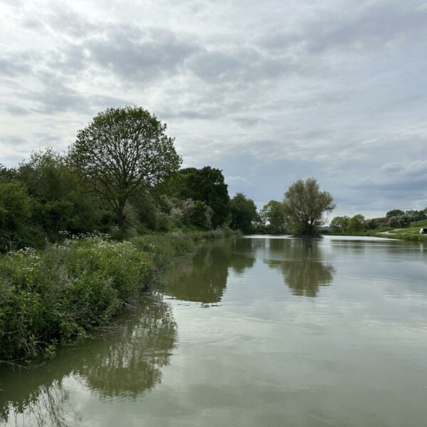 View from carpark end of Lake 1 towards the island
