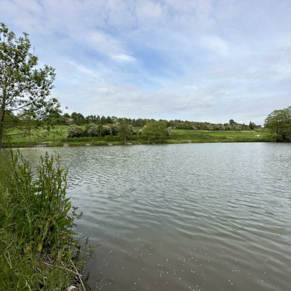 View across lake 2 from the far side.