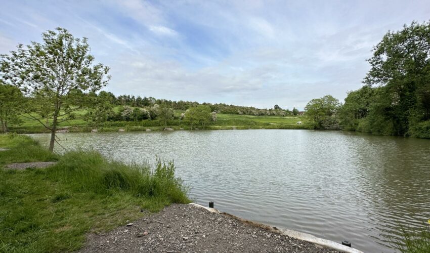 A typical peg on Lake 2 at Fosseway Fishery