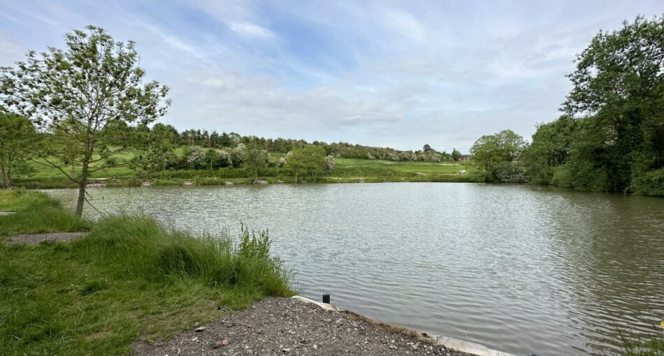 A typical peg on Lake 2 at Fosseway Fishery