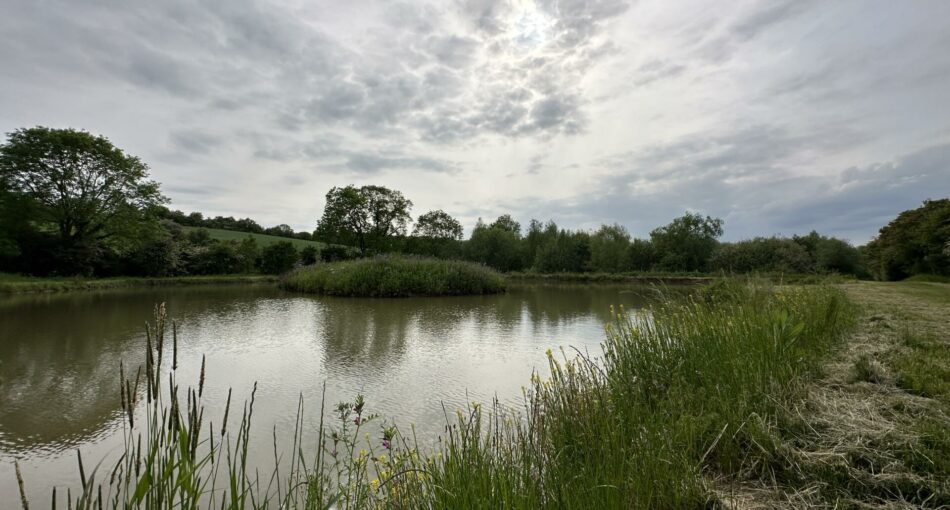 View of lake 3 across to the island