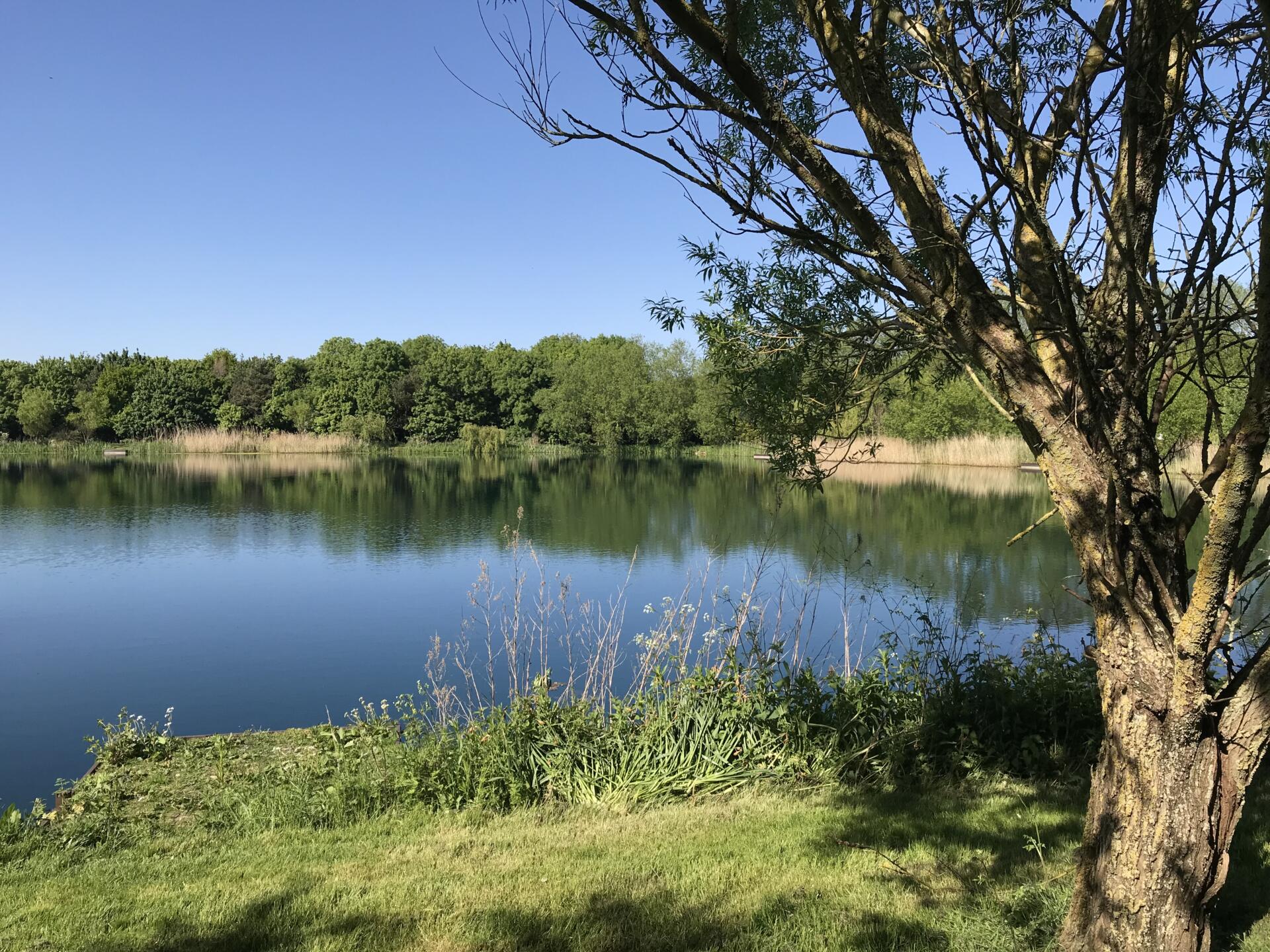 Field Aston Reservoir Fisheries.co.uk