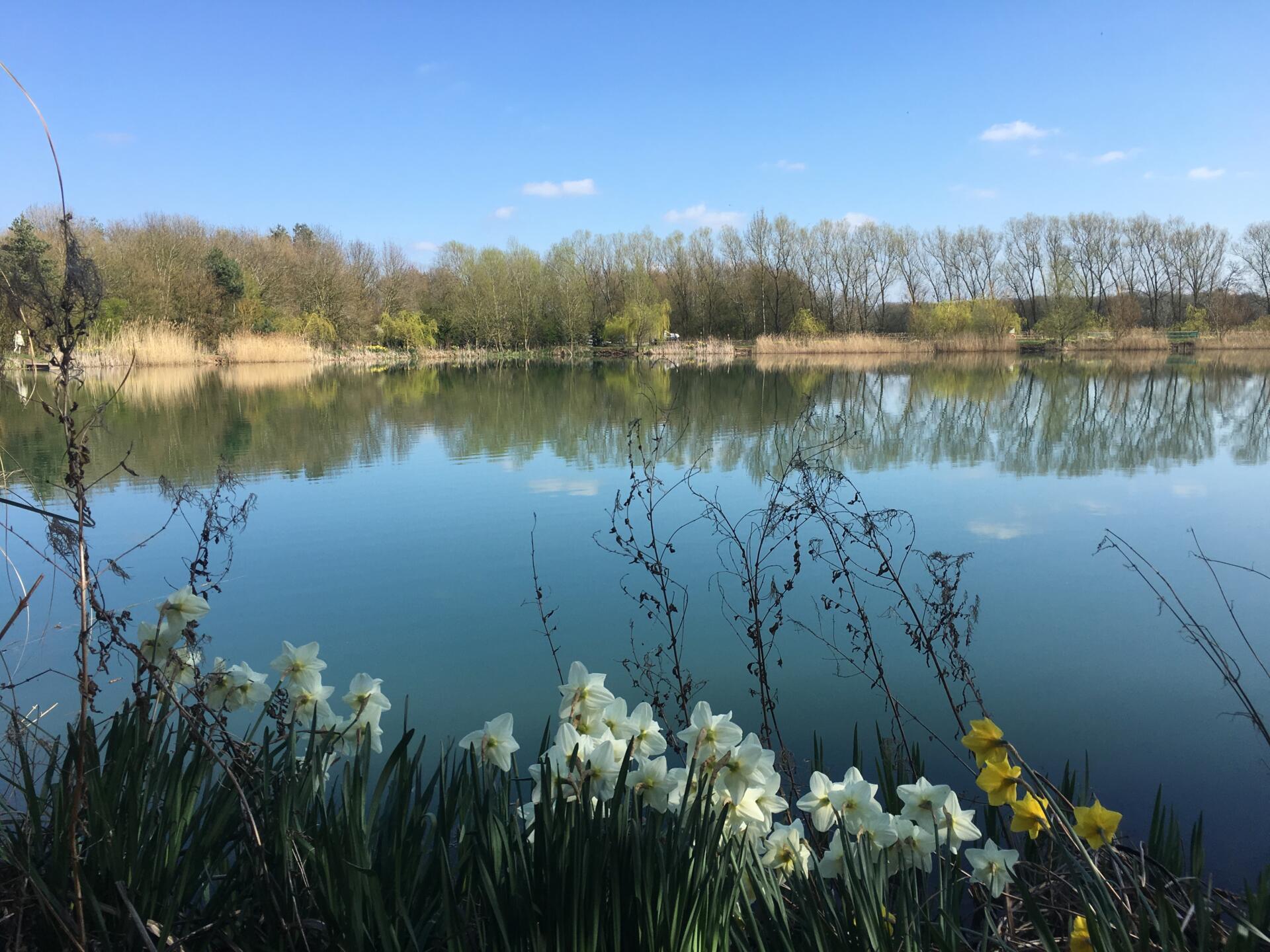 Field Aston Reservoir Fisheries.co.uk