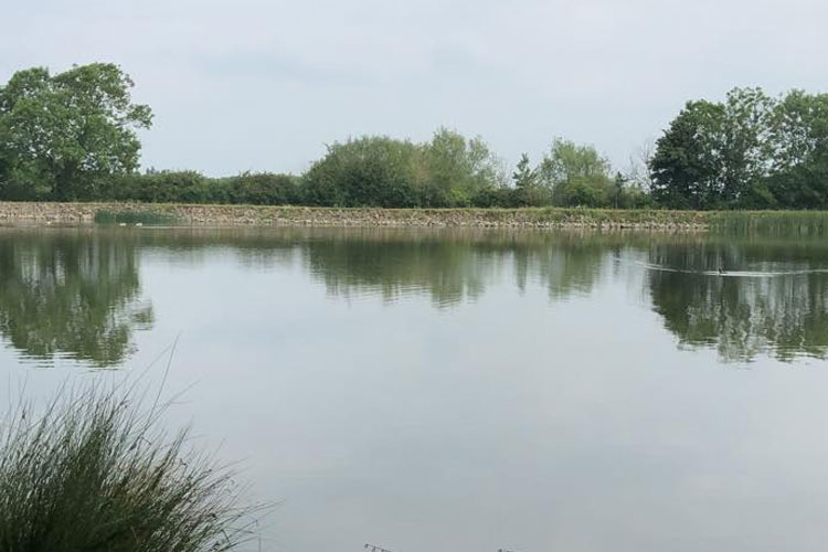 Napton Reservoir is a good tench fishery