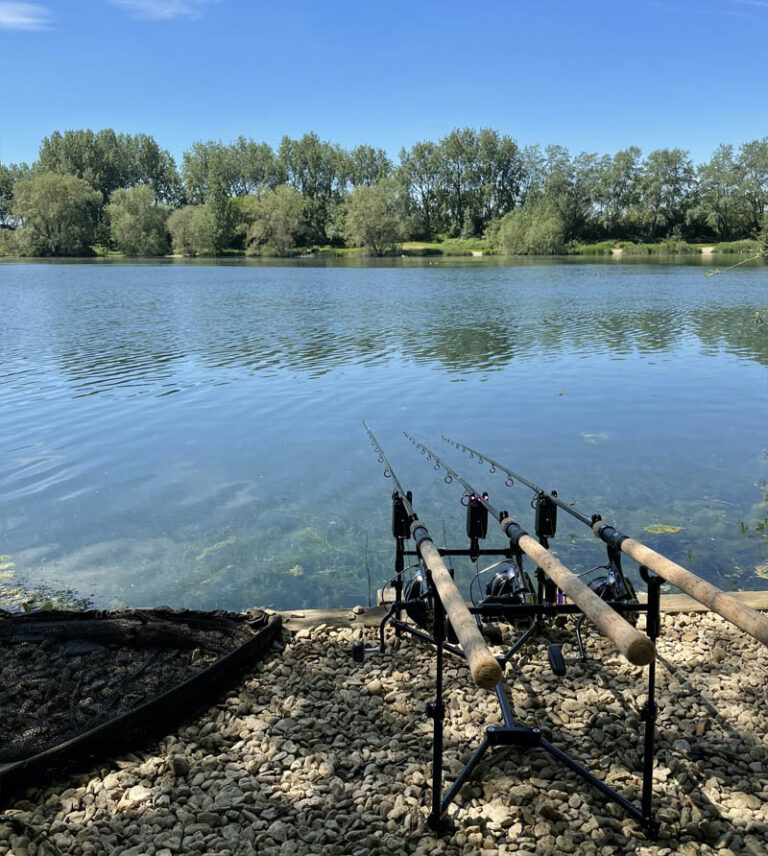 Tench Fishing How and where to catch Tench Fisheries.co.uk