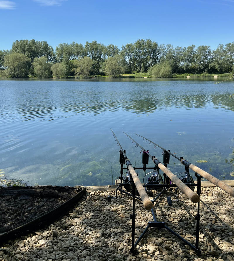 3 rod set up for catching tench