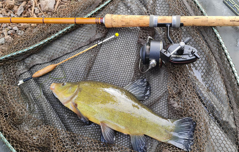 Tench Fishing - How and where to catch Tench 