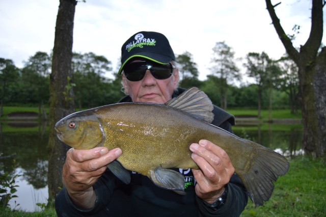 A beautiful Wyreside tench