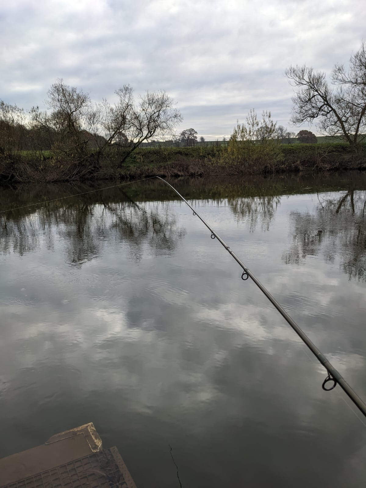 Share of fishing rights on the Middle Wye in Herefordshire Fisheries