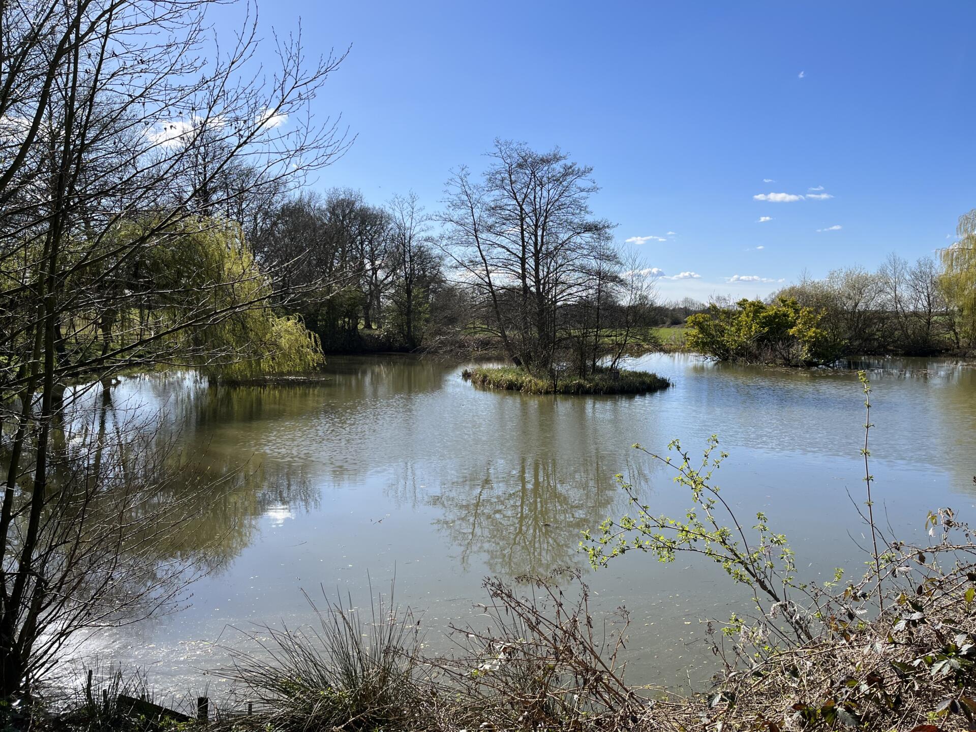 A guide to Lake Fishing Fisheries