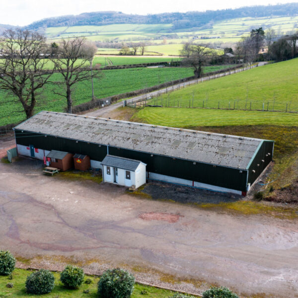 For Sale, the five lake Redhill Fishery in Monmouth