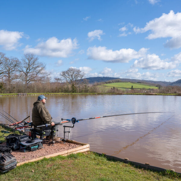 For Sale, the five lake Redhill Fishery in Monmouth