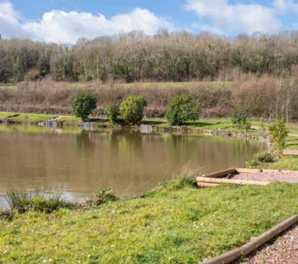 For Sale, the five lake Redhill Fishery in Monmouth
