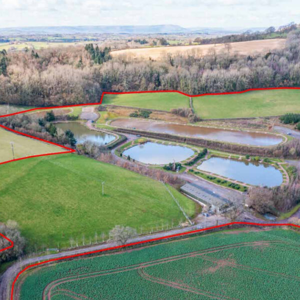 For Sale, the five lake Redhill Fishery in Monmouth