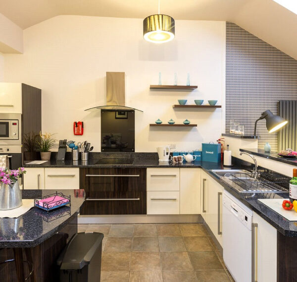 Lakehouse Holidays with fishing lake for sale in Anglesey