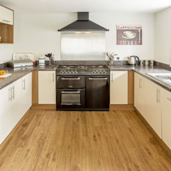 Lakehouse Holidays with fishing lake for sale in Anglesey