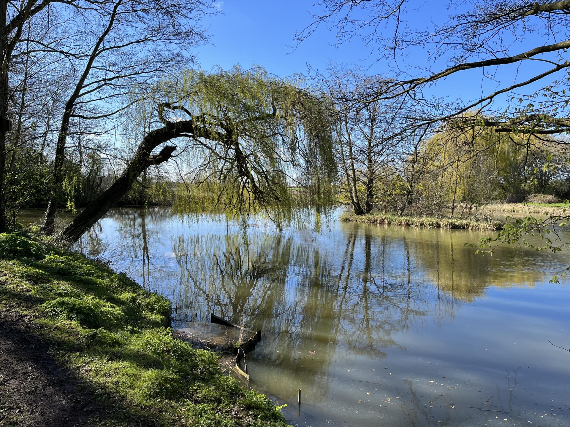 The river banks and lake sides are teeming with life in early spring