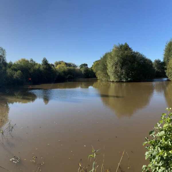 Destan Pool exclusive carp fishery near Bridgnorth in Shropshire