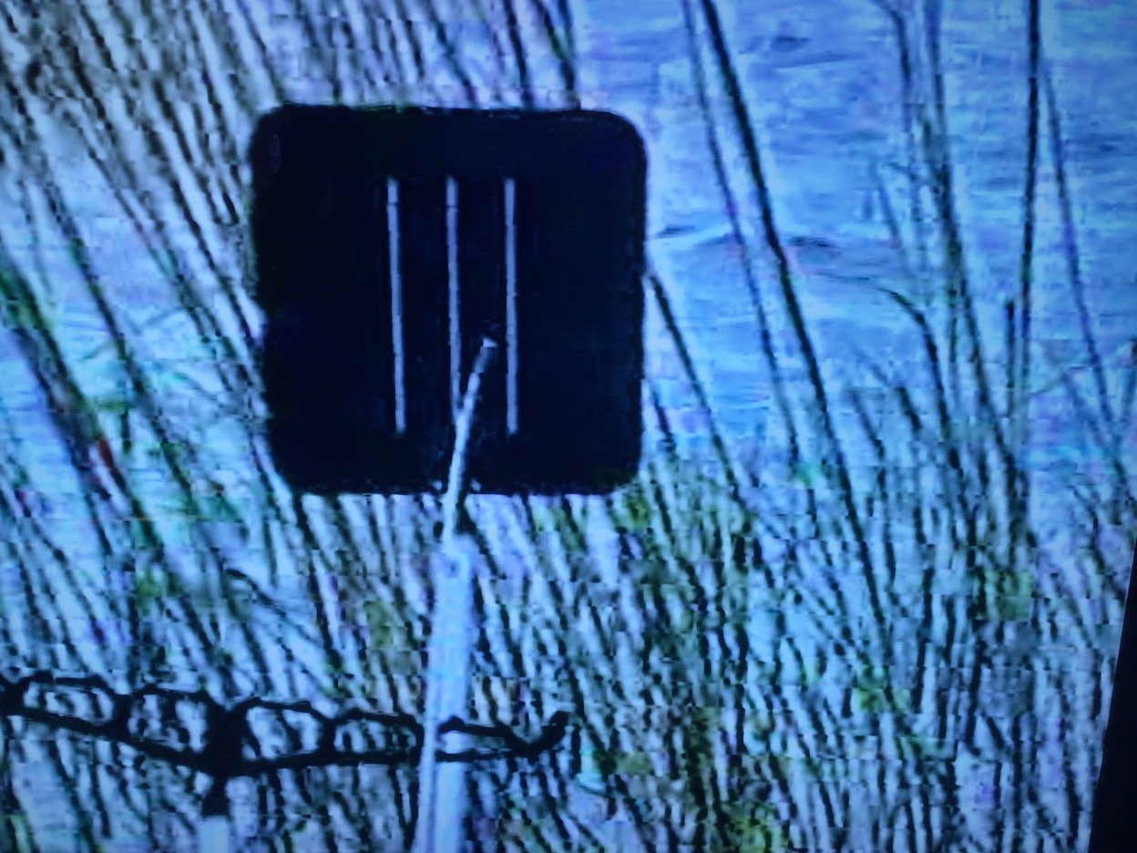 Old photo of a target board in use