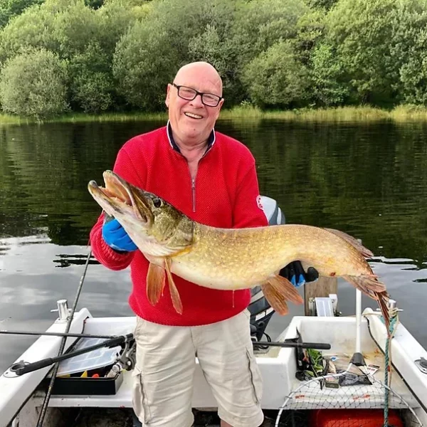 A beautiful Loch Awe pike caught by a visitor to Portsonachan