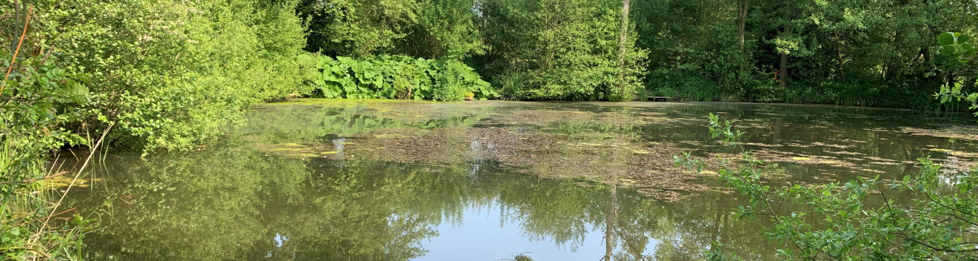 Keeping your fishery safe in summer