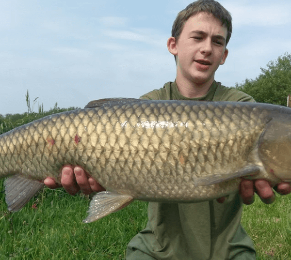 Yet-Y-Gors fishing and camping holidays in Pembrokeshire