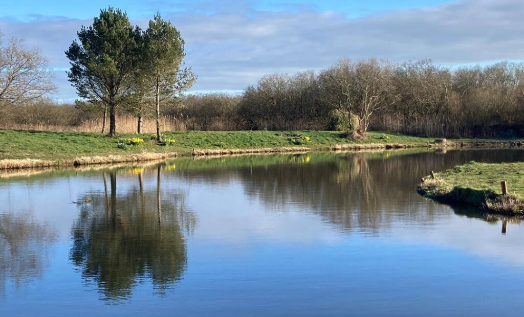 Yet-y-Gors Fishery and Campsite