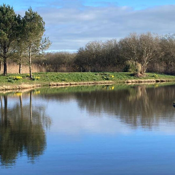 Yet-Y-Gors Fishery near Fishguard in Pembrokeshire